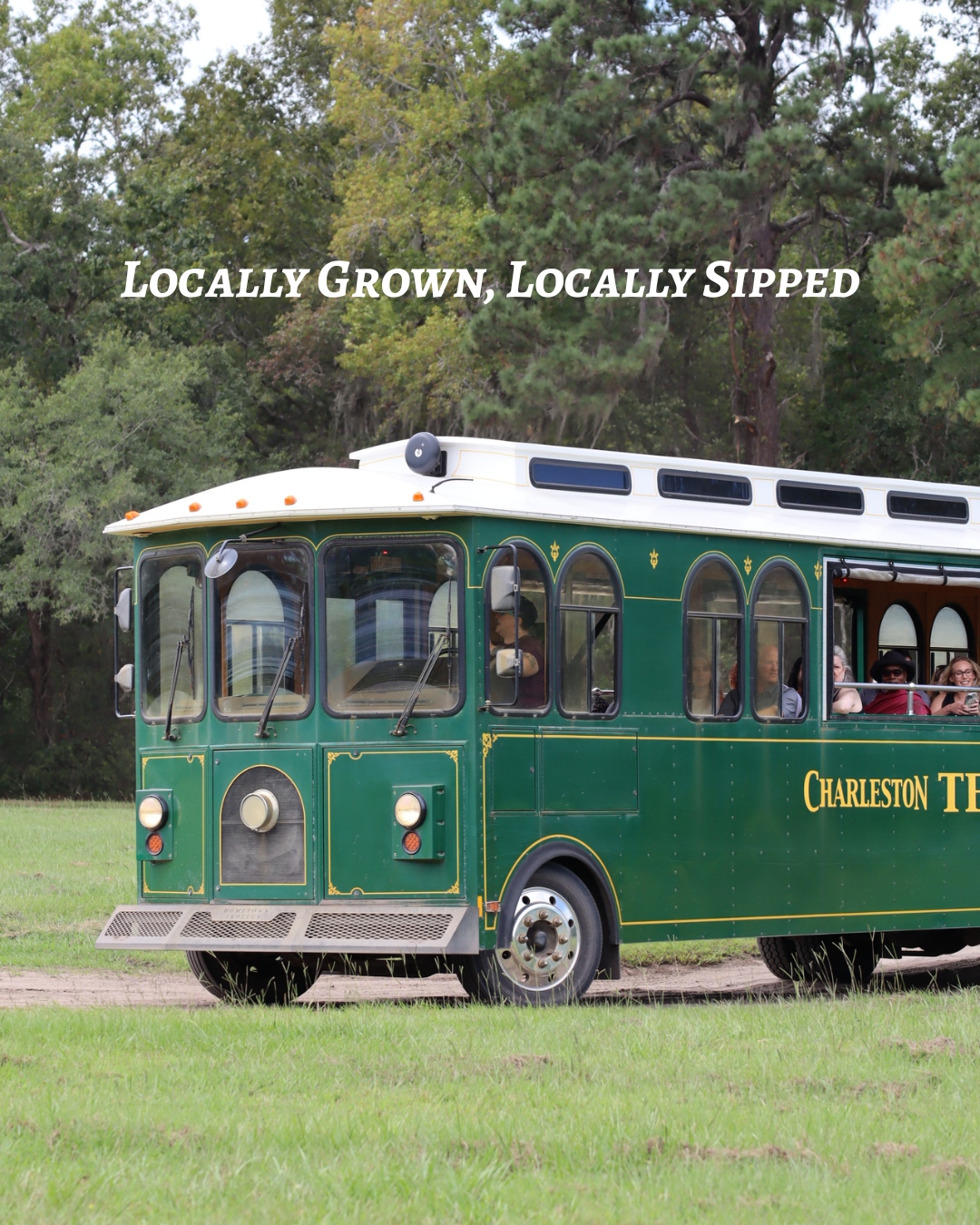 Charleston Tea Garden