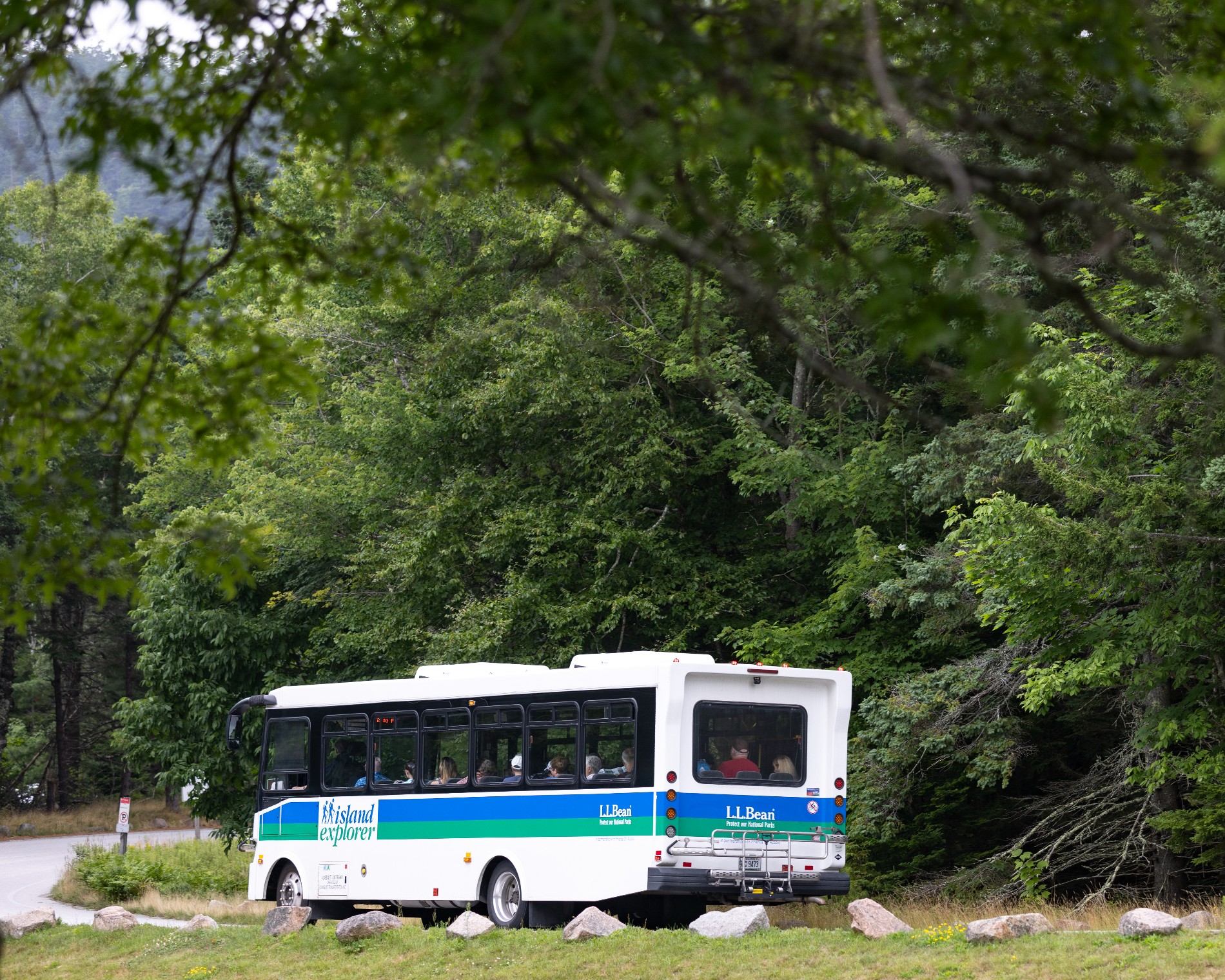 Bus