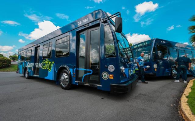 Urban Bus