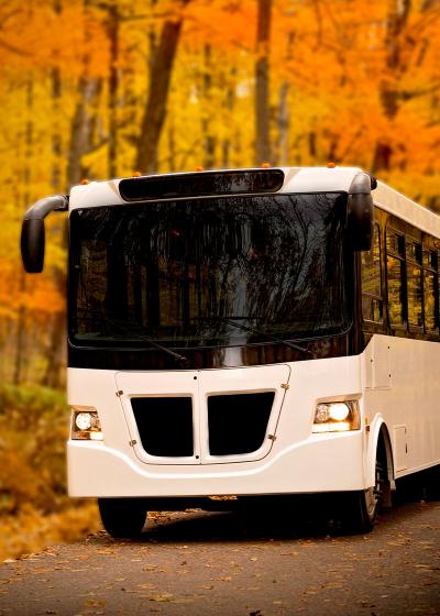 bus driving through woods